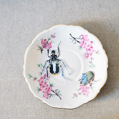 A Vintage Plate DIY Upcycle Project That Is Too Simple To Mess Up