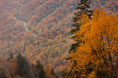 10 Best Places To See Leaves Change In The U.S. Now That It's Finally Fall