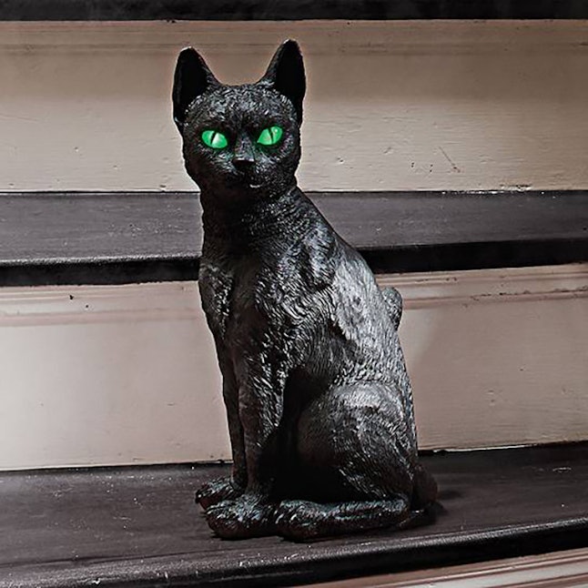 18 halloween decorations every black cat lover needs Black Cat Decor
18 Halloween Decorations Every Black Cat Lover Needs