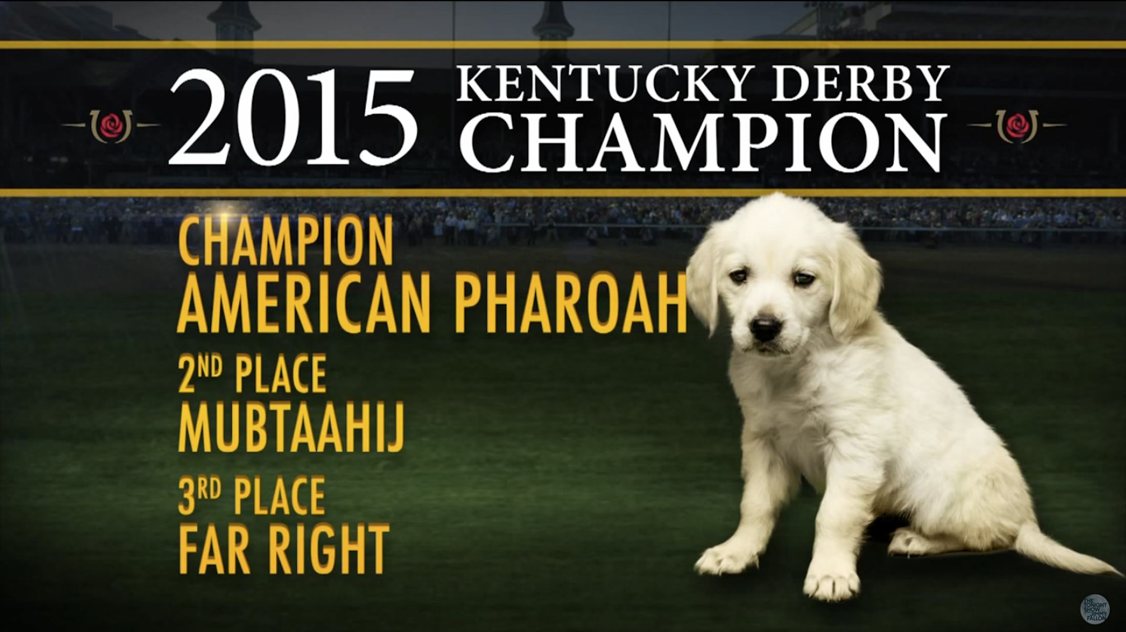 Jimmy Fallon Puppy Predictor Names Kentucky Derby Winner, & Come On, It
