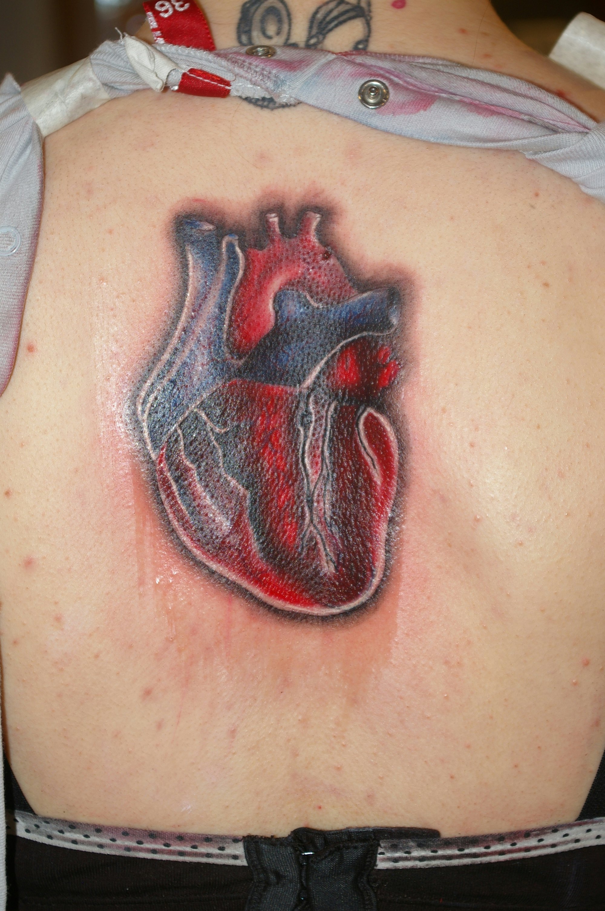 Wear Your Heart on Your Sleeve with These Anatomical Heart Tattoos   Tattoodo