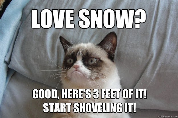 16 Epic Snow Shoveling Memes To Help You Laugh Through The Pain Of   235f8ac0 A36d 0133 F230 0e8e20b91aa1 