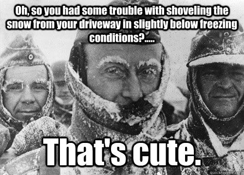 16 Epic Snow Shoveling Memes To Help You Laugh Through The Pain Of