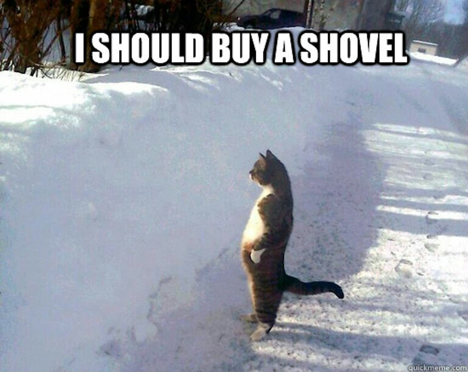 16 Epic Snow Shoveling Memes To Help You Laugh Through The Pain Of 16-epic-snow-shoveling-memes-to-help-you-laugh-through-the-pain-of