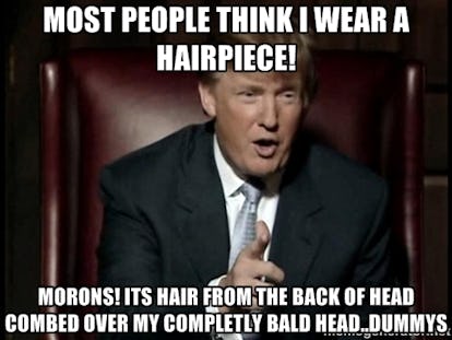 16 Donald Trump Hair Memes So Funny You Ll Actually Be Grateful He S Running For President