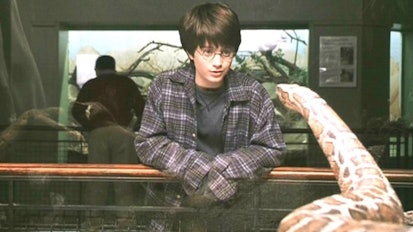 harry potter and the sorcerer's stone book vs movie essay