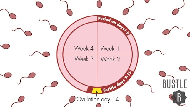 Does The Rhythm Method Work? Everything You Need To Know About