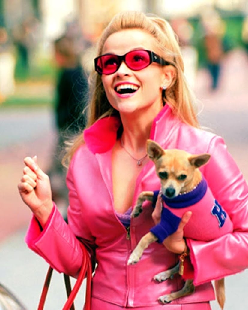 How To Get Elle Woods #39 Legally Blonde #39 Style For When You Need To