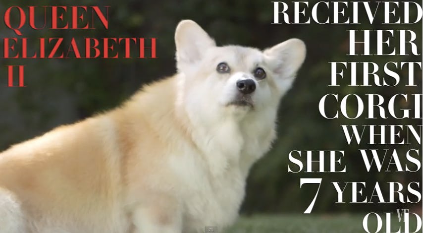 7 Things You Didn't Know About The Royal From "The Loyal Royals