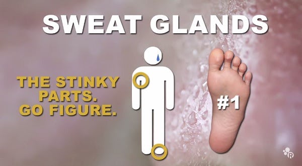 Why Do Your Feet Smell And What Can You Do About It? This Video Has The