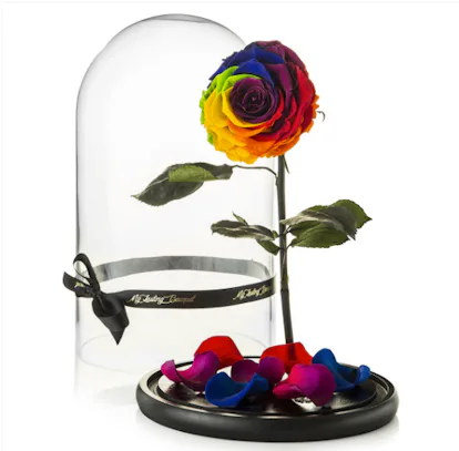 An Enchanted Rose Inspired By ‘Beauty & The Beast’ Exists In Real Life ...