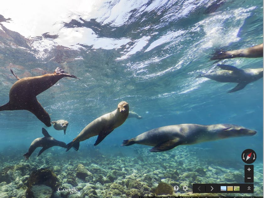 7 Google Maps Underwater Locations That Look So You'll Be