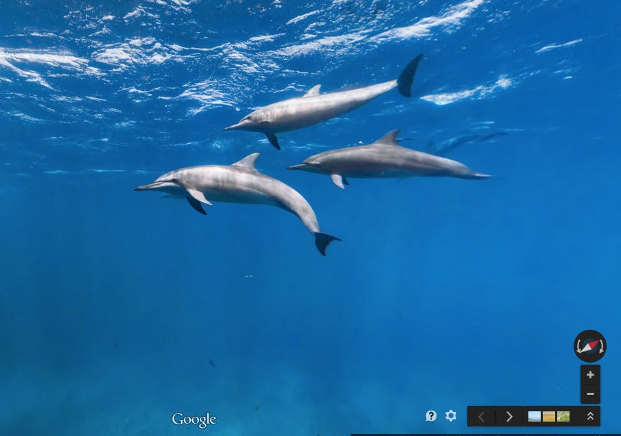 7 Google Maps Underwater Locations That Look So You'll Be