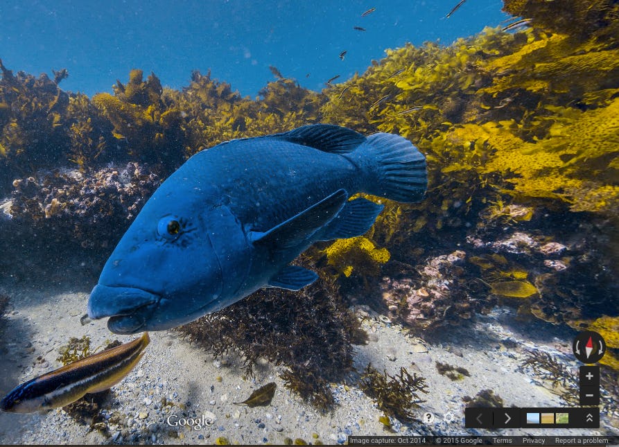 7 Google Maps Underwater Locations That Look So You'll Be