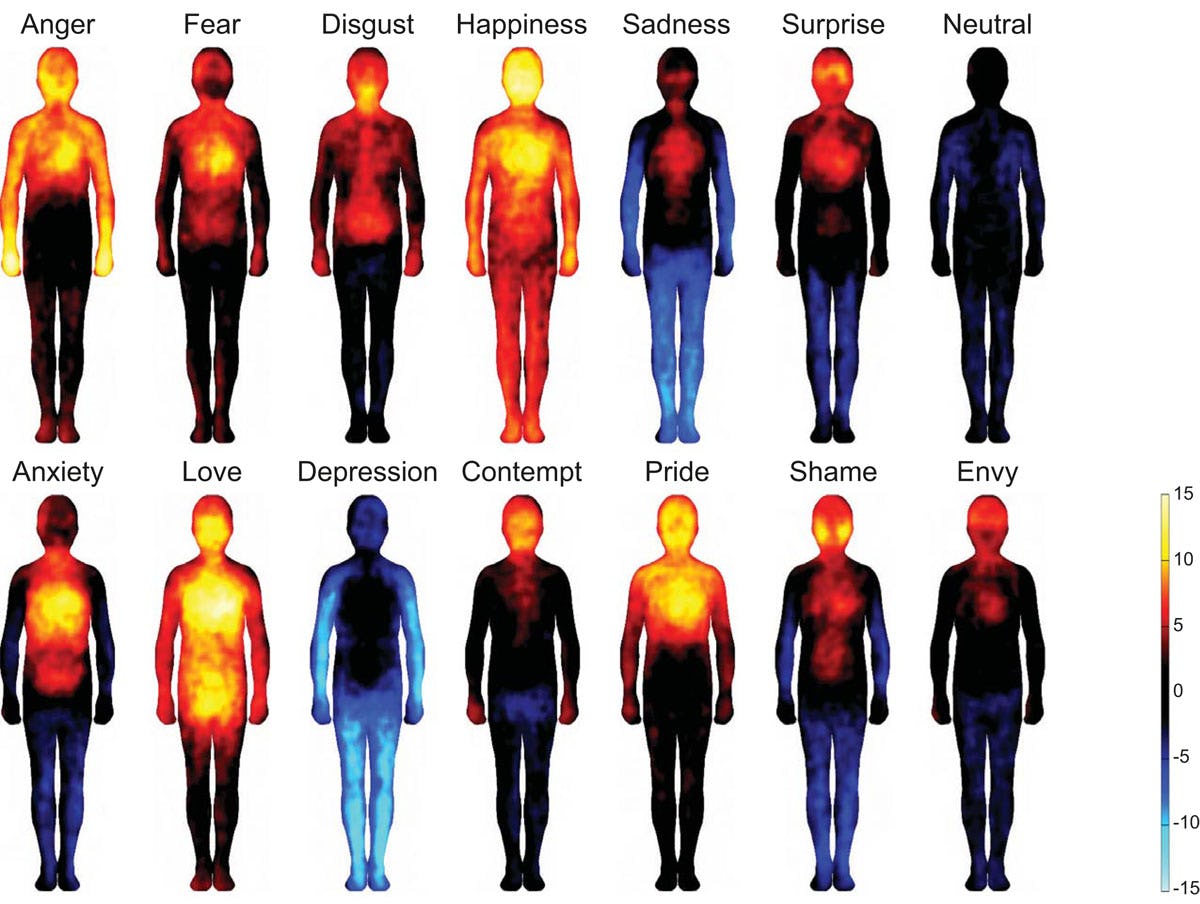 Study Maps Where Different Emotions Are Universally Felt on The Body