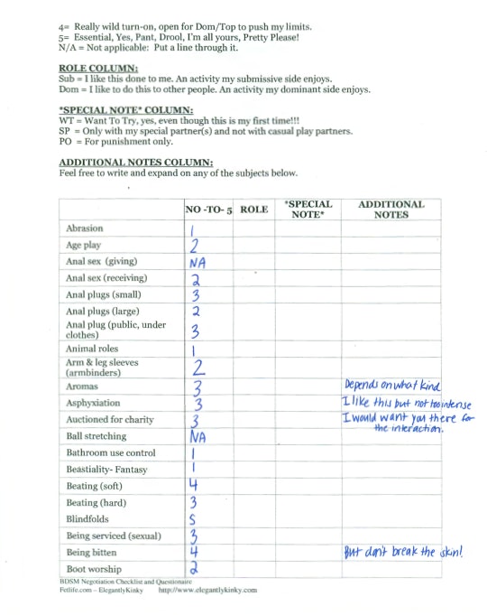 bdsm checklist sunny megatron