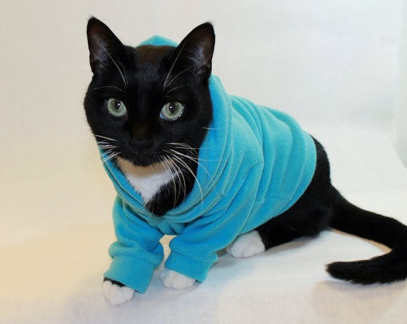 13 Adorable Outfits And Accessories For Your Cat Because You're 100