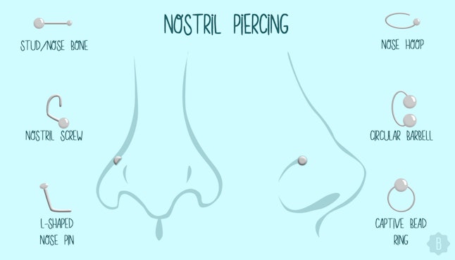 7 Popular Types Of Nose Piercings & Their Corresponding ... tattoo body pain diagram 