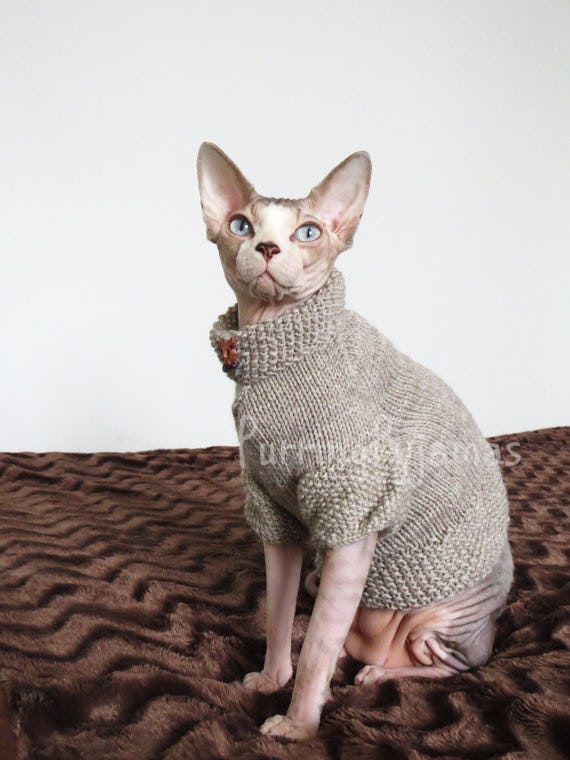 13 Adorable Outfits And Accessories For Your Cat Because You're 100