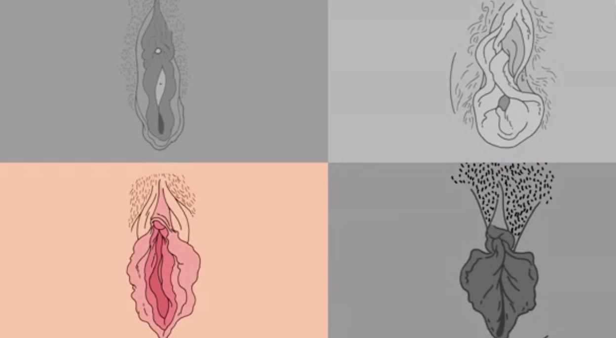 Why Do Some Women Orgasm From Penetration Some Don t The Vagina