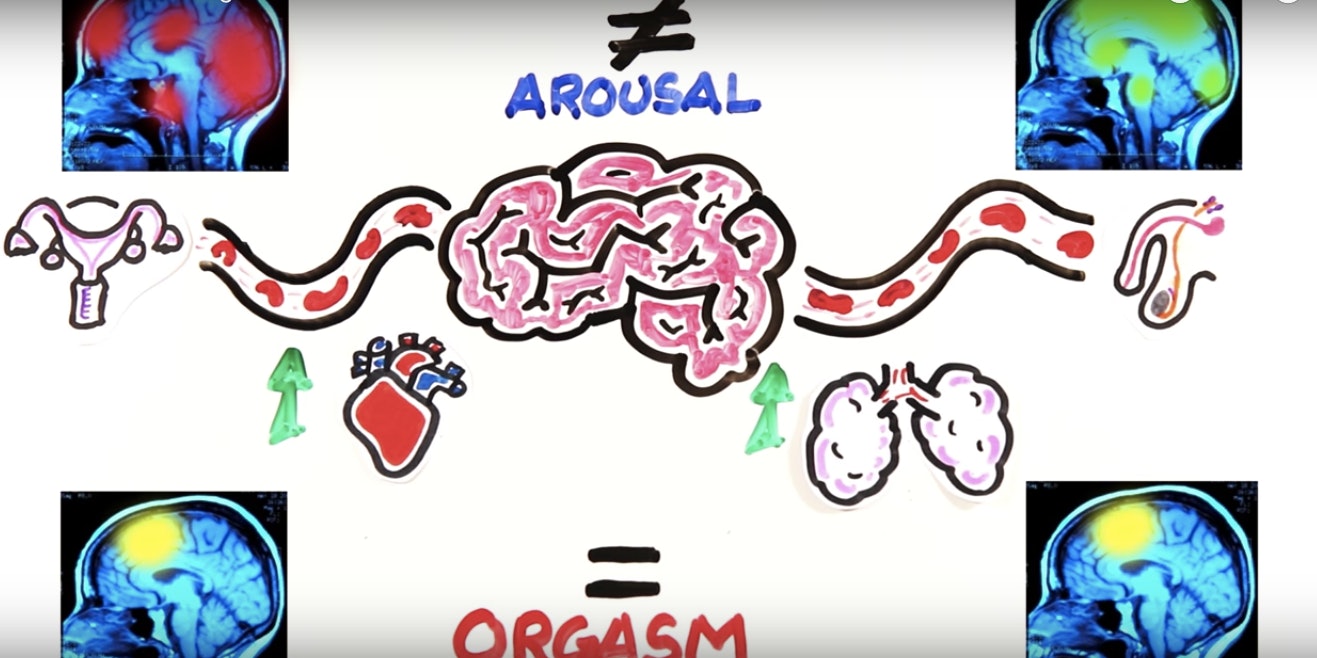 Do Men Or Women Have Better Orgasms How The Climaxes Measure Up