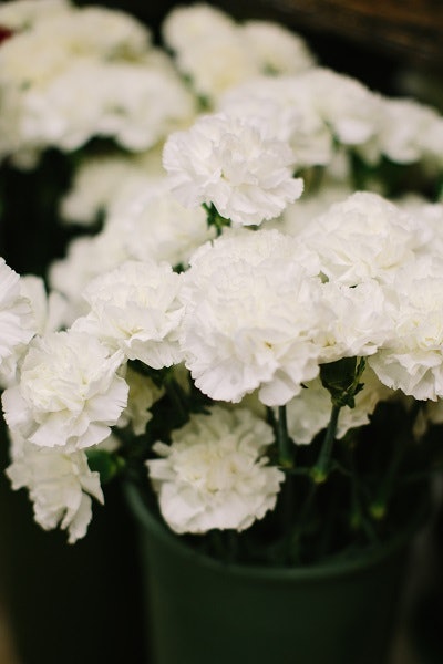 16 Inexpensive Wedding Flowers That Still Look Beautiful For S Carnations Get A Bad Rap Sometimes But They Are Perfect Filler For Many Wedding Arrangement When Mixed In With More Expensive Flowers Of Similar