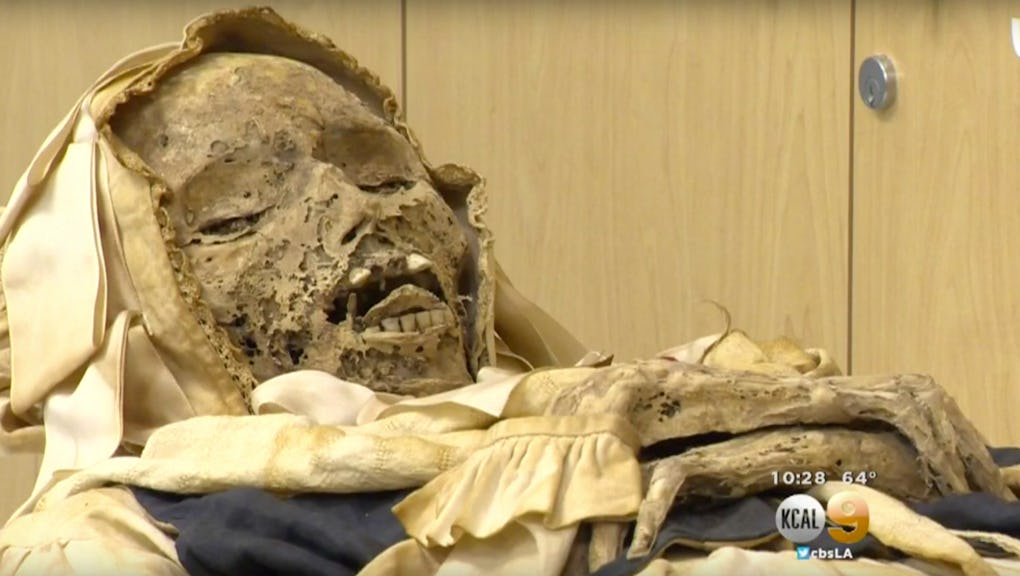 These Autopsies Of 300 Year Old Mummies Are Unraveling Mysteries Of The Past These Autopsies Of 300 Year Old Mummies Are Unraveling Mysteries Of The Past