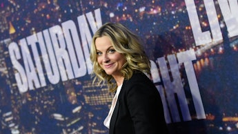 Amy Poehler posing for a photo at a saturday night live red carpet event