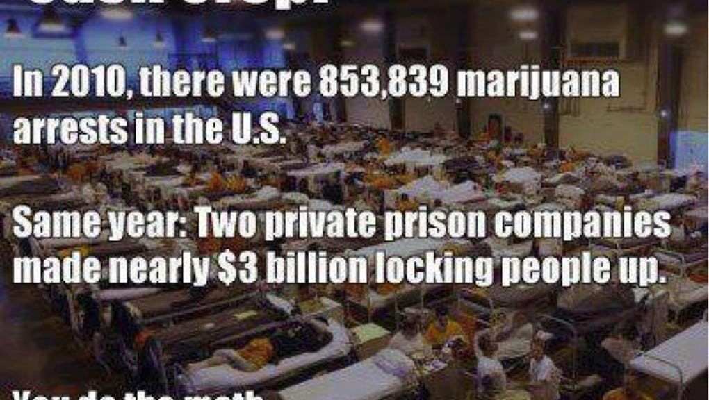 One Meme Sums Up How Absurd America S War On Drugs Has Become One Meme Sums Up How Absurd America S War On Drugs Has Become