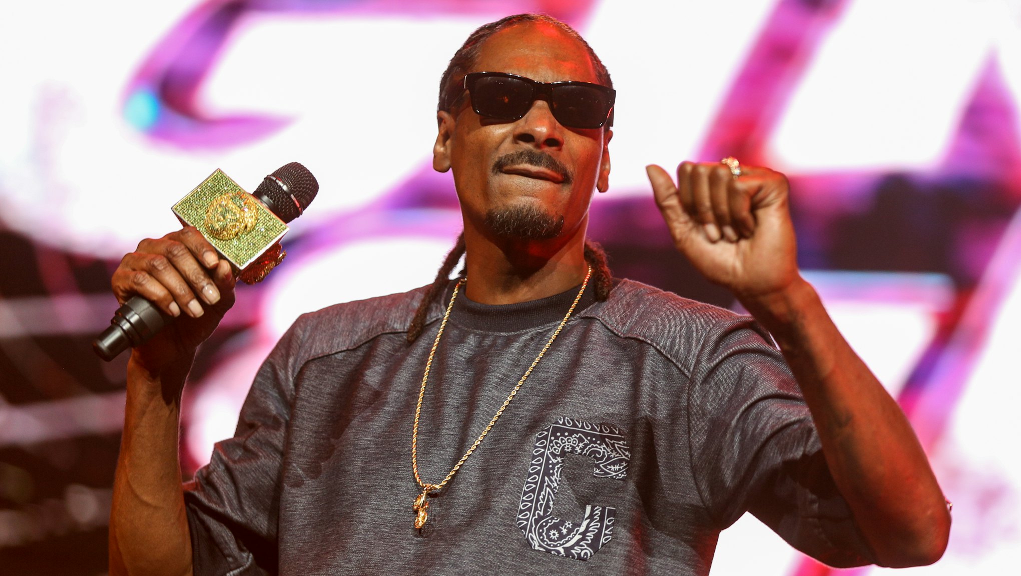 Snoop Dogg Posts Defiant Instagram Videos While Under Arrest in Sweden