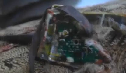 Afghan Police Shot An Exploding Bird Full of