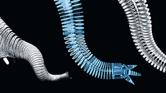 A robot skeleton of elephant's trunk