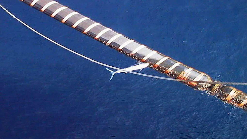 Marlin Rig Stunning Footage Shows a Marlin Impaling An Oil Rig Pipe