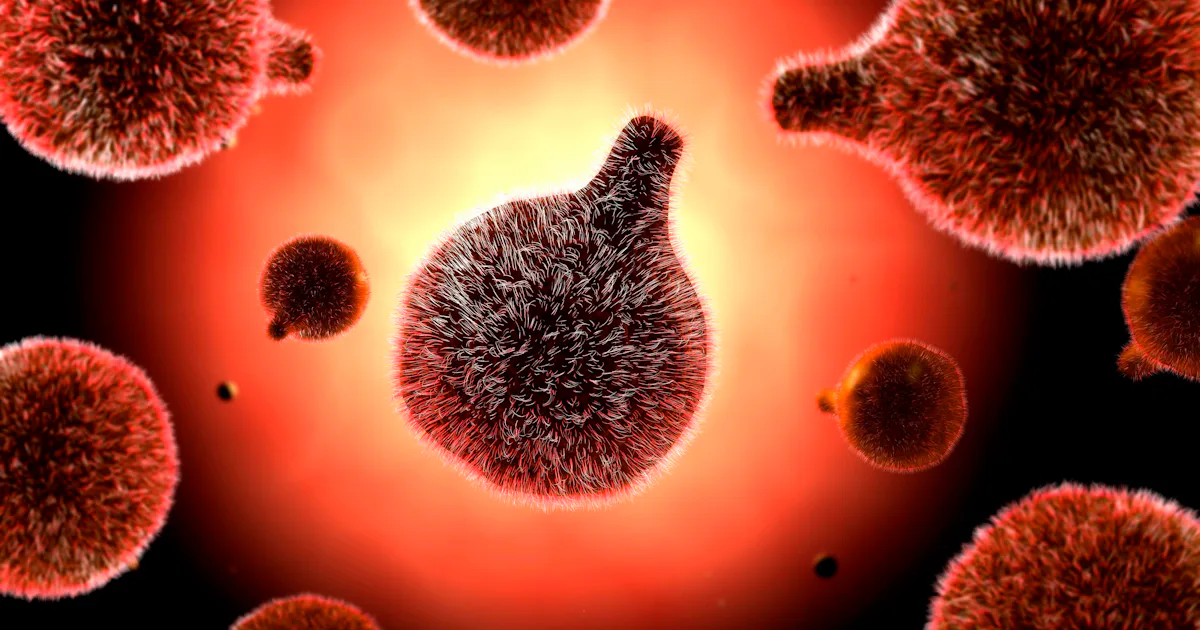 Scientists Just Discovered the Key to Fighting One of the World's ...