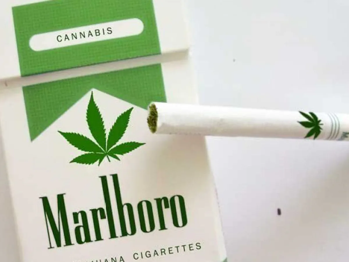 why do cigarettes make me nauseous Do you know what's in your cigarette? 🚬 Toxic chemicals like arsenic, methanol, and even ammonia—things you'd never willingly inhale. Your health matters. Quit today for a better tomorrow. #TobaccoFreeLife #QuitSmoking #HealthyLiving why do cigarettes make me nauseous Do you know what's in your cigarette? 🚬 Toxic chemicals like arsenic, methanol, and even ammonia—things you'd never willingly inhale. Your health matters. Quit today for a better tomorrow. #TobaccoFreeLife #QuitSmoking #HealthyLiving