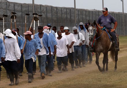 Prison workforce being accompanied by officer on horseback.