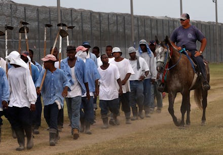 Prison workforce being accompanied by officer on horseback.
