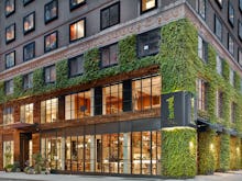 The front of a green hotel which has moss growing on its walls