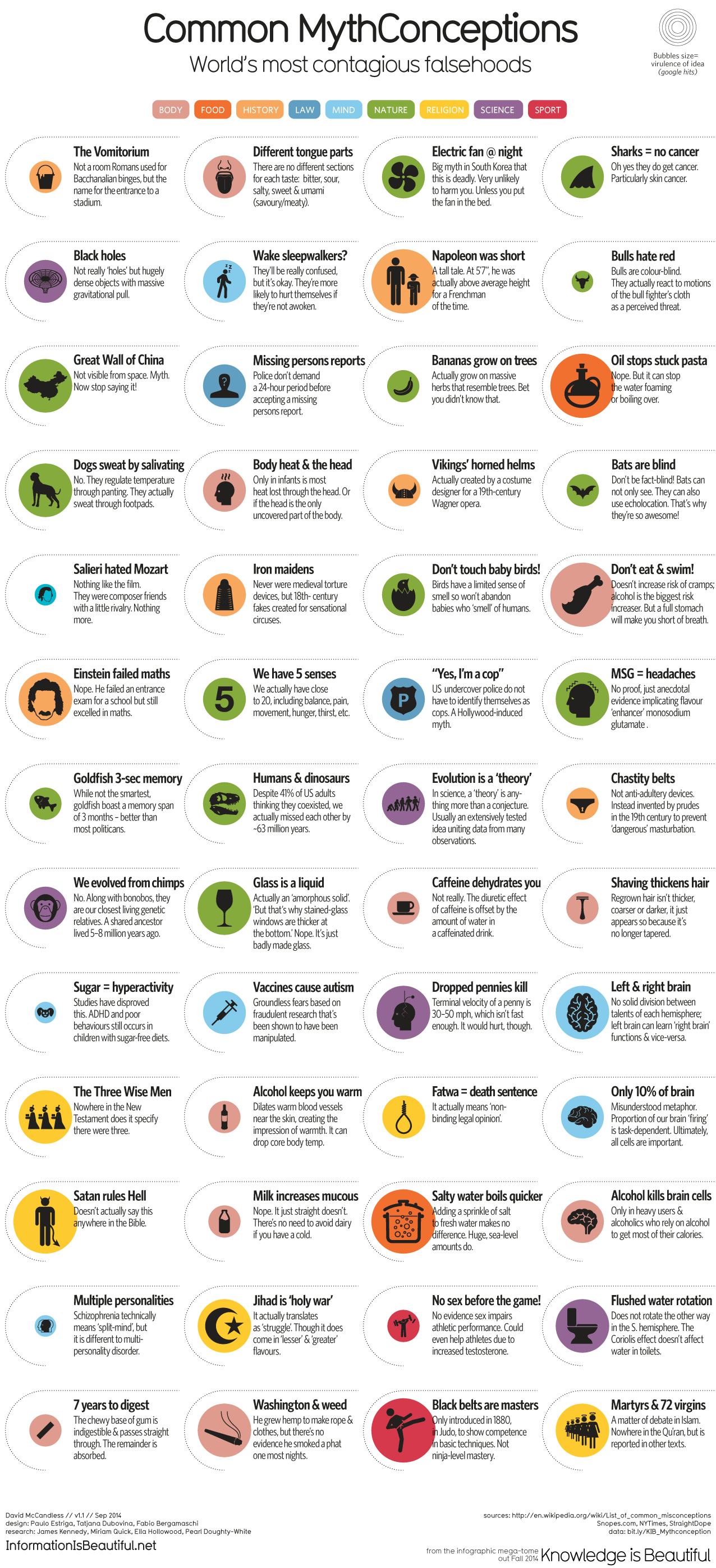 52 Common Myths, Debunked In One Glorious Infographic