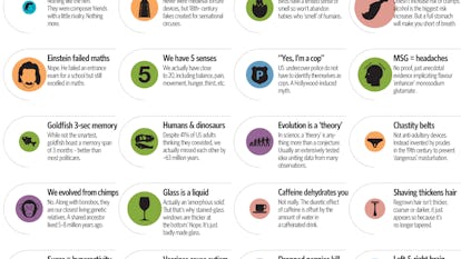 52 Common Myths, Debunked in One Glorious Infographic 52 Common Myths, Debunked in One Glorious Infographic