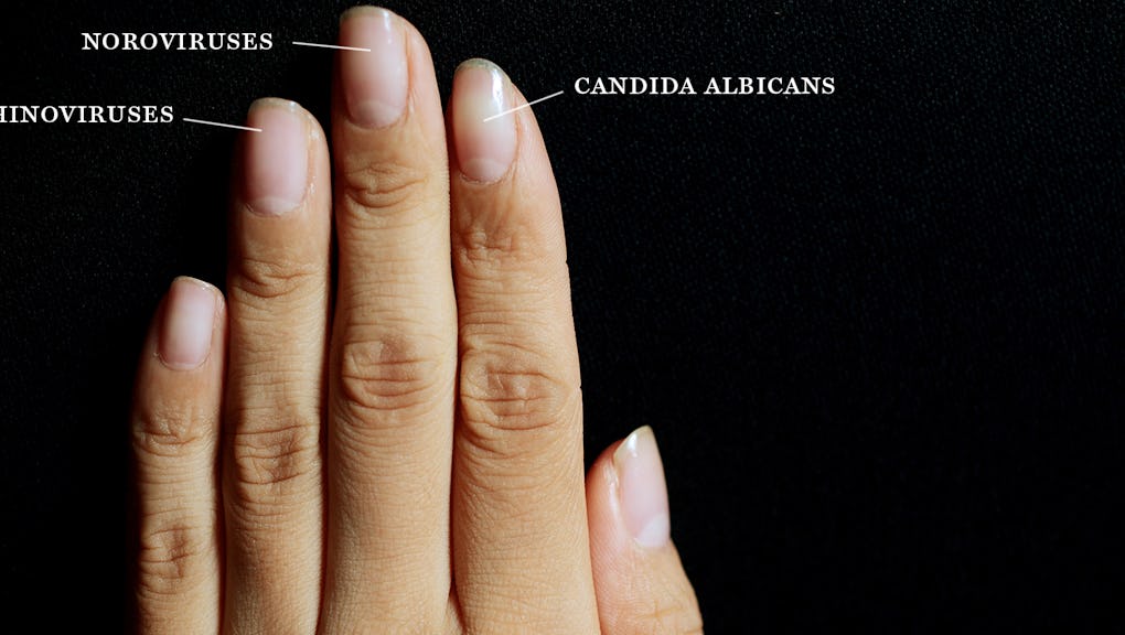 Here S All The Disgusting Stuff That Grows Under Your Nails When You Don T Wash Your Hands Here S All The Disgusting Stuff That Grows Under Your Nails When You Don T Wash Your Hands