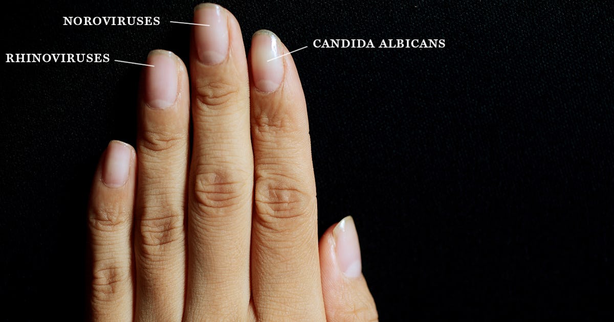Here S All The Disgusting Stuff That Grows Under Your Nails When You Don T Wash Your Hands Here S All The Disgusting Stuff That Grows Under Your Nails When You Don T Wash Your Hands