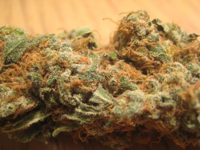 Marijuana Strains Named After Your Favorite Super Bowl Players