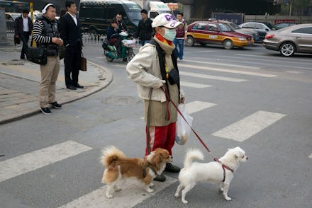A man walking two dogs with a smog mask