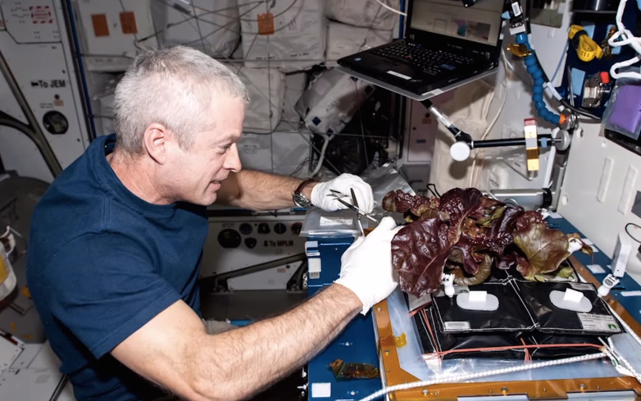 Astronauts Are Eating Food Grown in Space for First Time — Here's Why