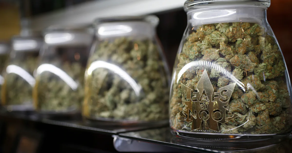 How to store marijuana