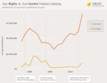 A chart that shows exactly why we never got gun control after Sandy Hook