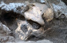 A 1.8-million-year-old fossilized Skull 5 found in the Republic of Georgia