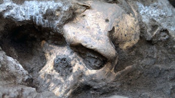 A 1.8-million-year-old fossilized Skull 5 found in the Republic of Georgia