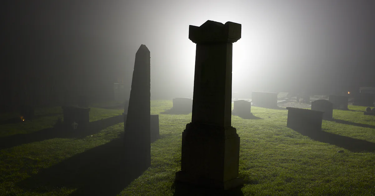 Boneghazi #Boneghazi: Tumblr Is Exploding Over a Self-Proclaimed Thief of Human ...
